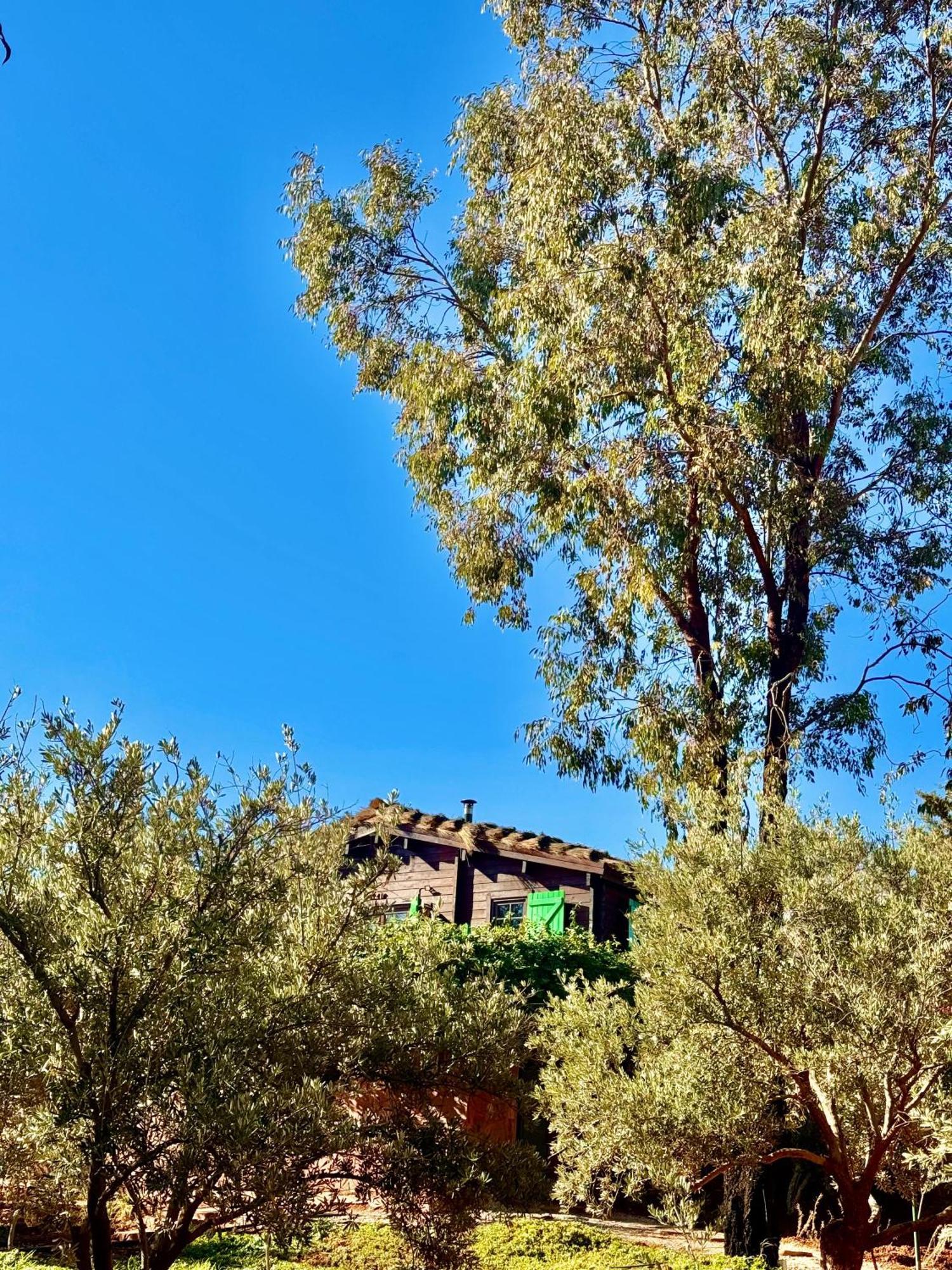 Vila Soo Bin Bine el Ouidane Exteriér fotografie